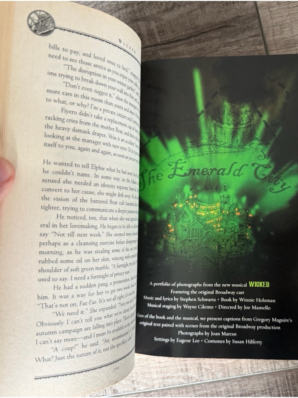 Wicked - Picture 4 of 4